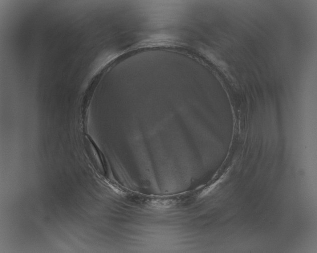 X0000073891453200608251419