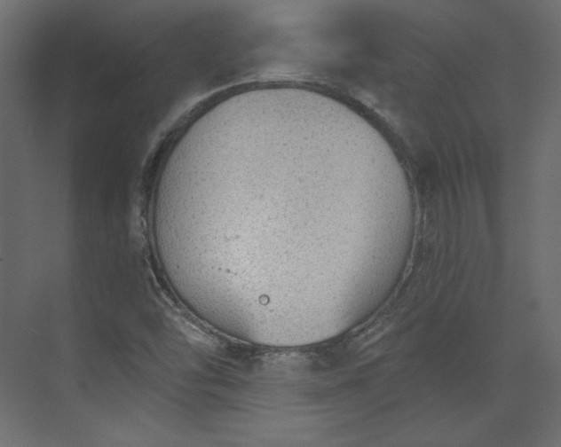 X0000073891454200608251419