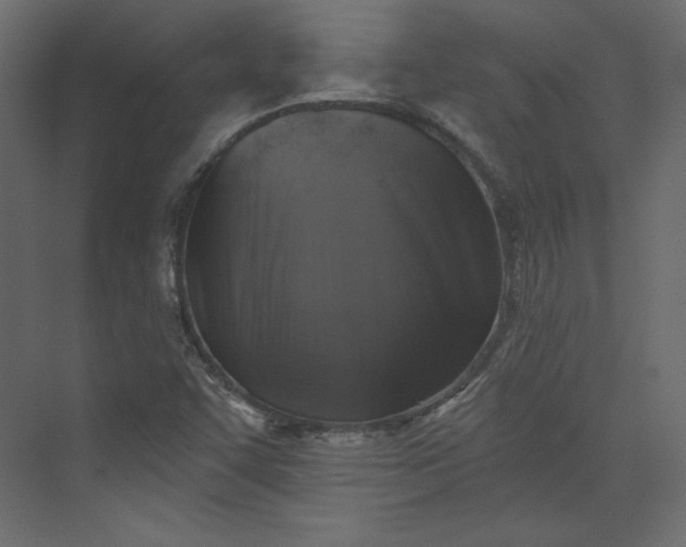 X0000073891455200608251419