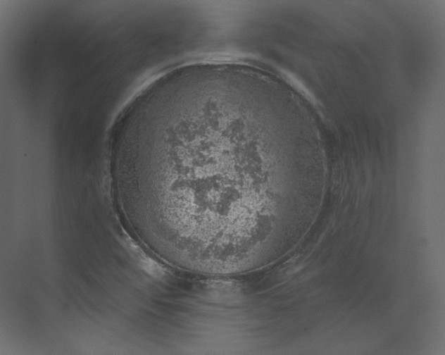 X0000073891456200608251419