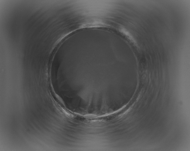 X0000073891457200608251419