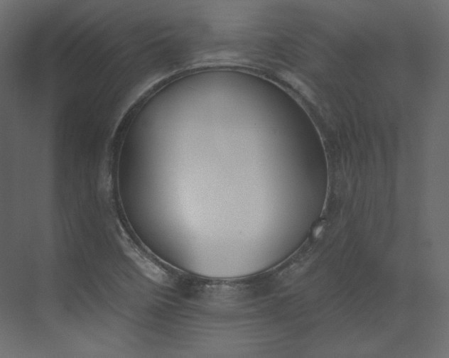 X0000073891458200608251419