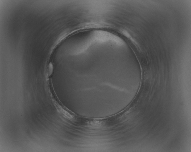 X0000073891459200608251419