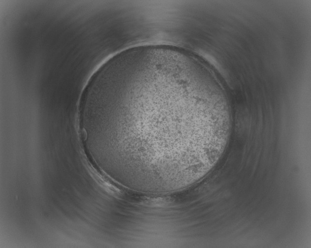 X0000073891460200608251419