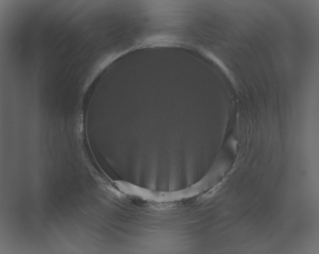 X0000073891461200608251419