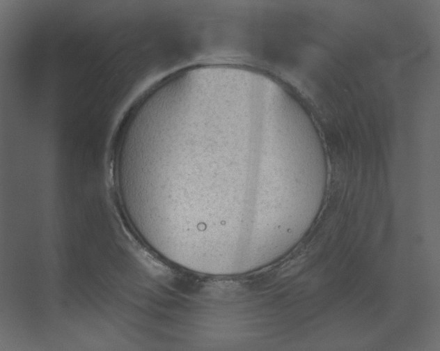 X0000073891462200608251419