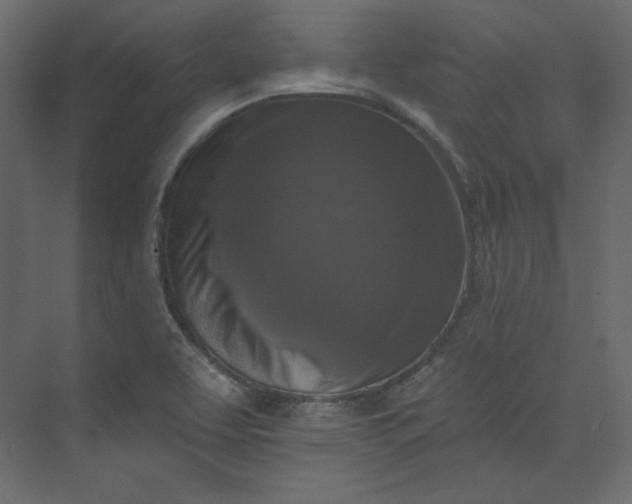 X0000073891463200608251419