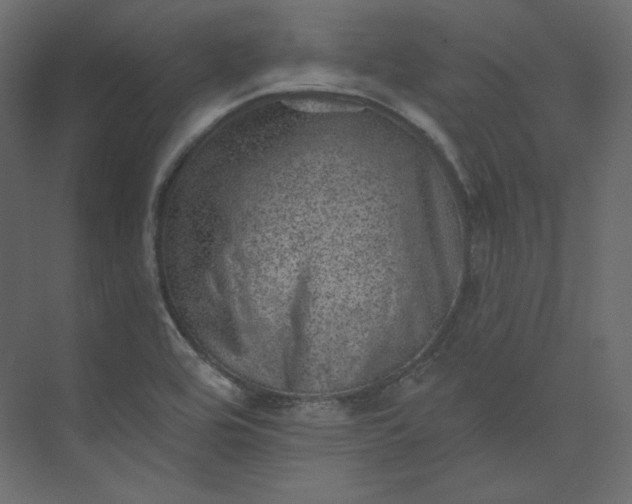 X0000073891464200608251418