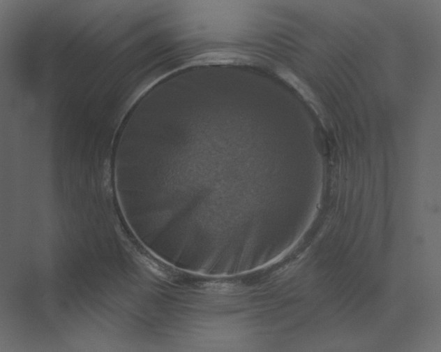 X0000073891465200608251418