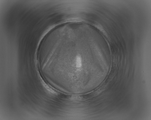 X0000073891466200608251418