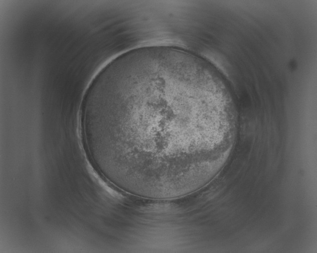 X0000073891468200608251418