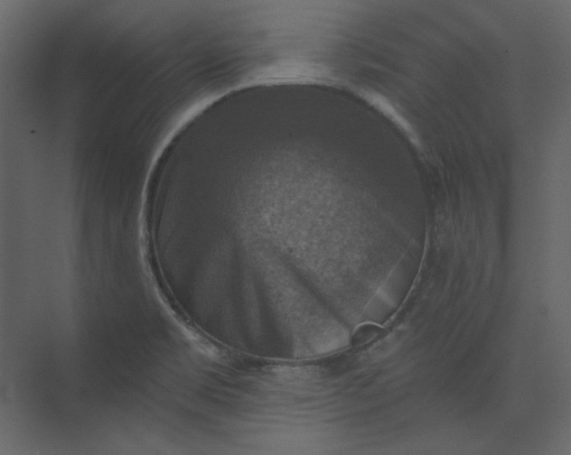 X0000073891469200608251418