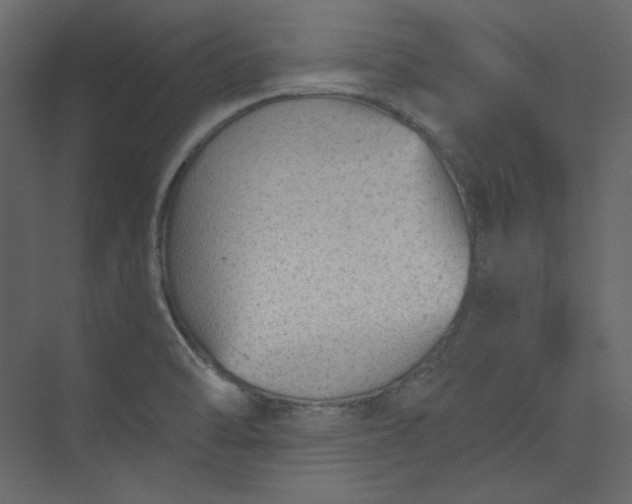 X0000073891470200608251418