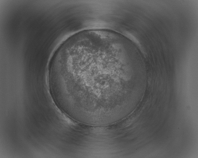 X0000073891472200608251418