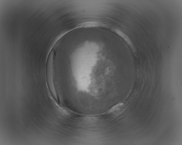 X0000073891473200608251418