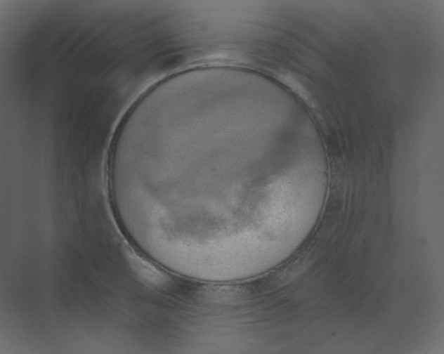 X0000073891474200608251418