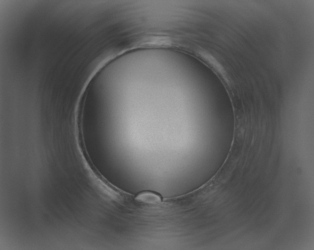 X0000073891475200608251418