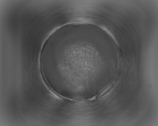 X0000073891477200608251418