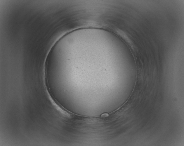 X0000073891479200608251418