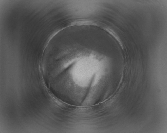 X0000073891481200608251418