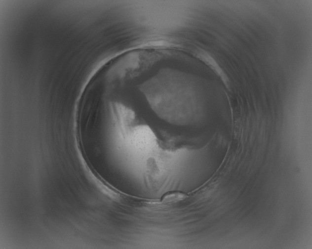 X0000073891483200608251418