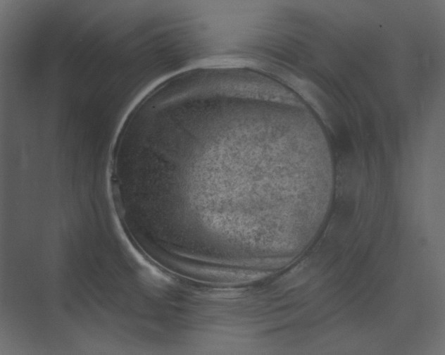 X0000073891484200608251418