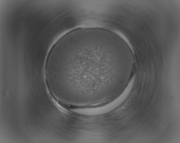 X0000073891485200608251418