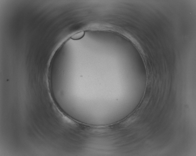 X0000073891486200608251418