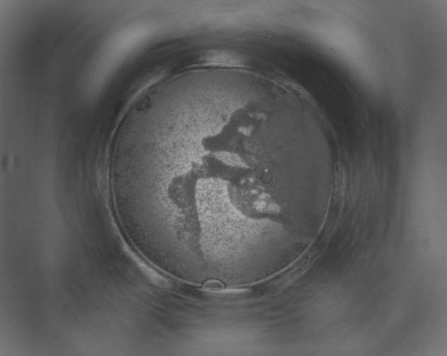 X0000073891487200608251418