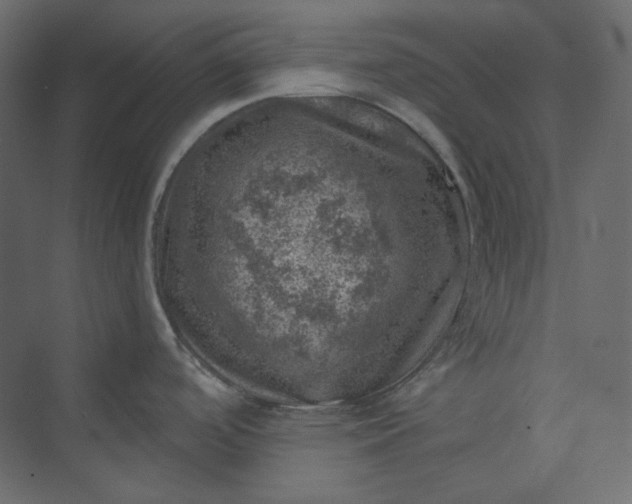 X0000073891488200608251418