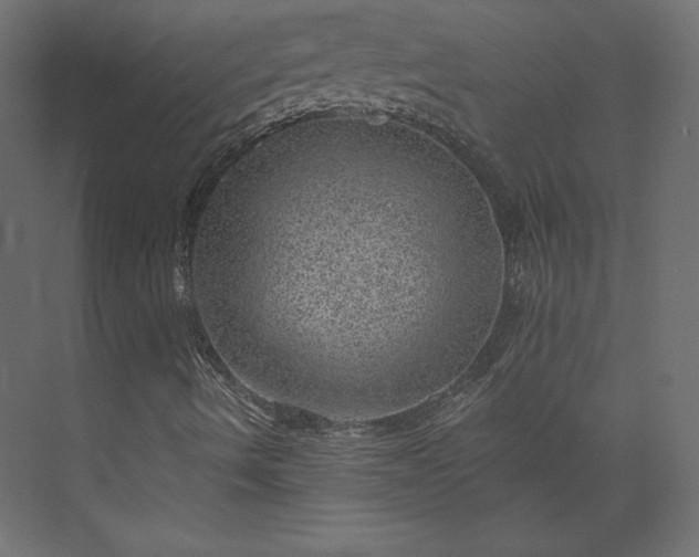 X0000073891490200608251417