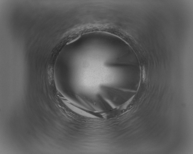 X0000073891492200608251417