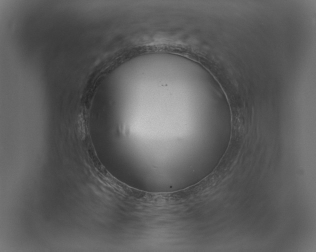 X0000073891493200608251417