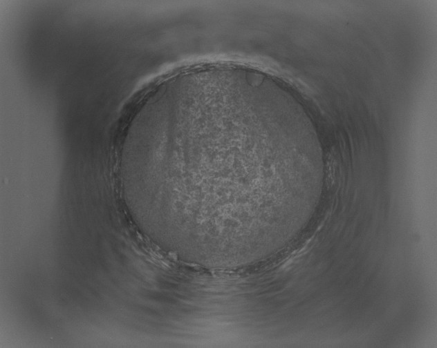 X0000073891494200608251417