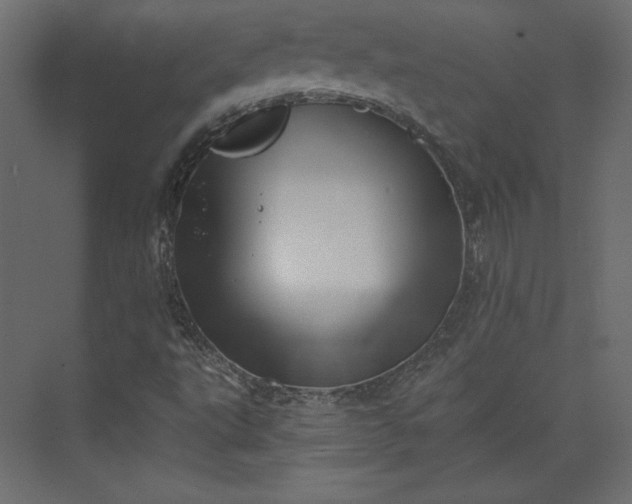 X0000073891495200608251417