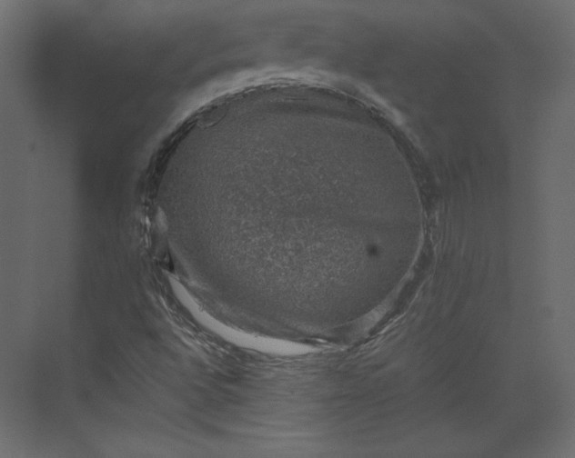 X0000073891496200608251417