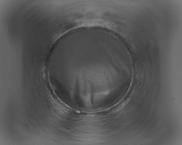 X0000073891497200608251417