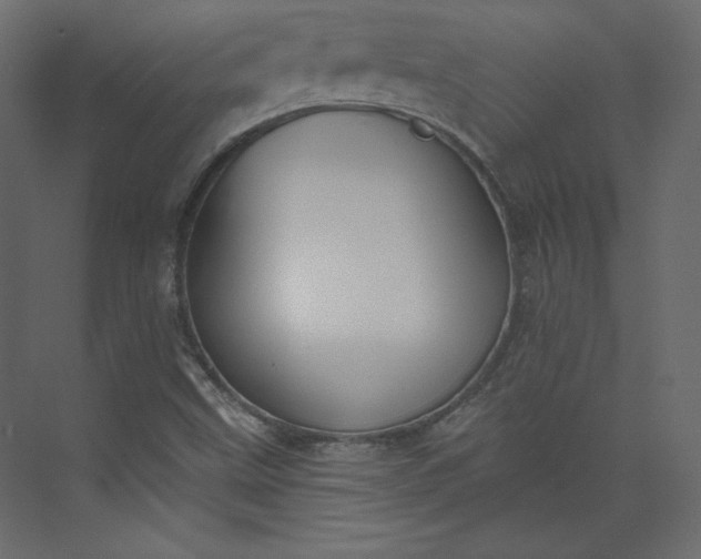 X0000073891499200608251417