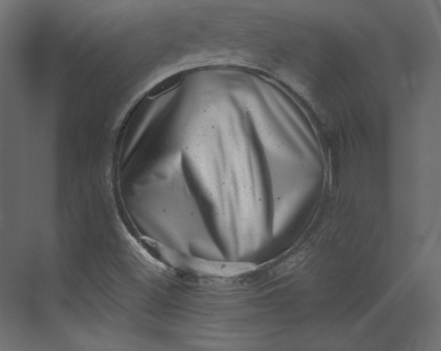 X0000073891500200608251417