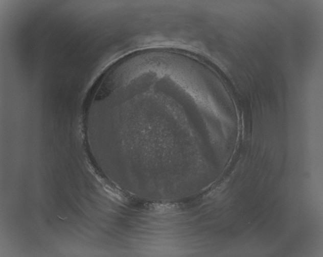 X0000073891501200608251417