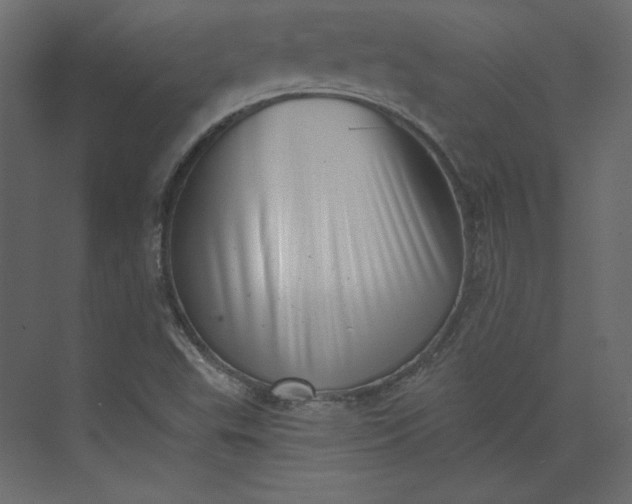 X0000073891503200608251418