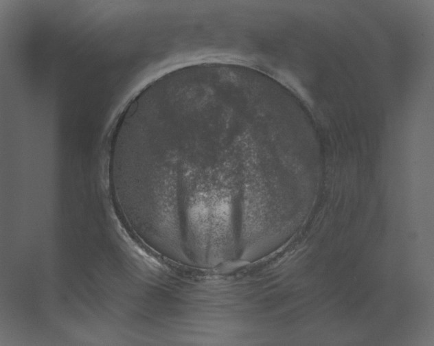 X0000073891504200608251418