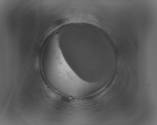 X0000073891505200608251418