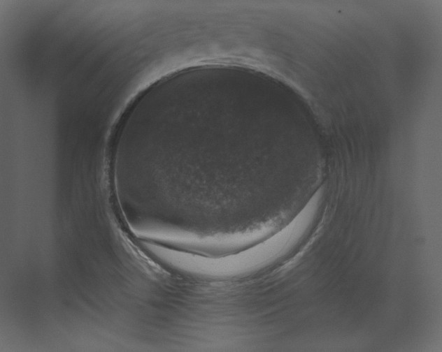 X0000073891506200608251418