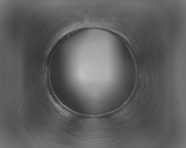 X0000073891507200608251418