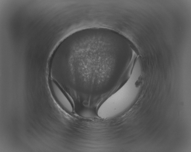 X0000073891508200608251418