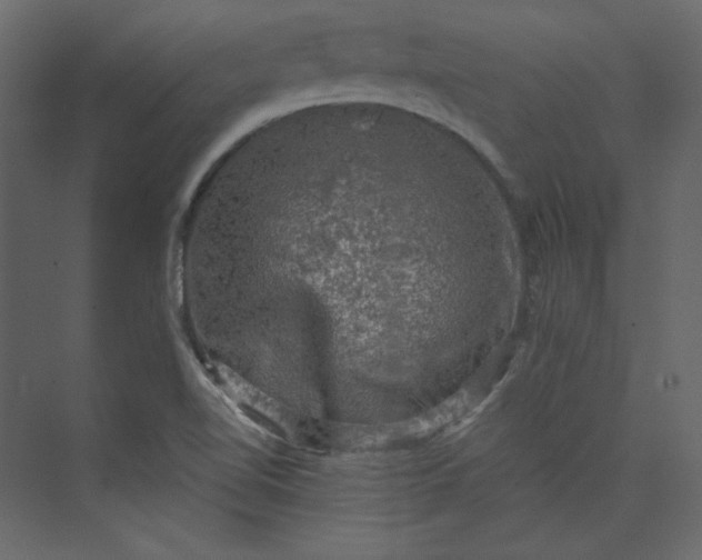 X0000073891510200608251418