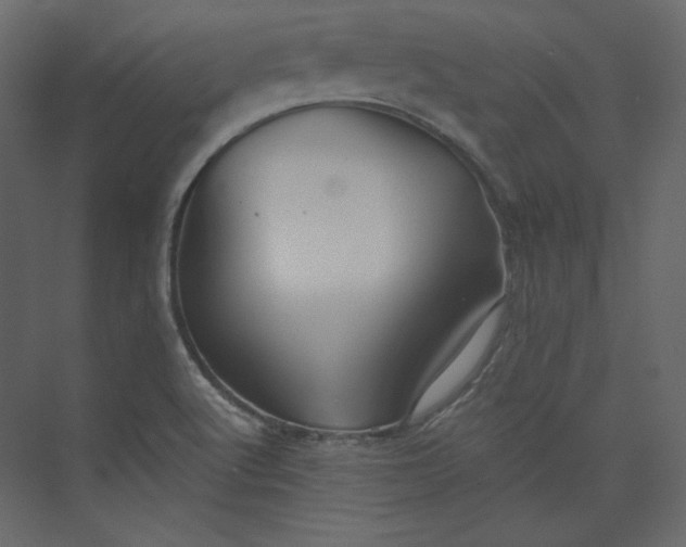 X0000073891512200608251418