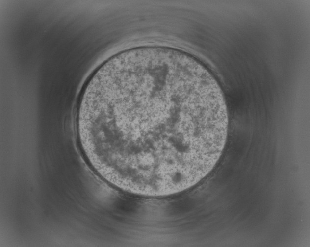 X0000073891514200608251418