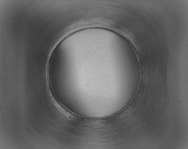 X0000073891516200608251418